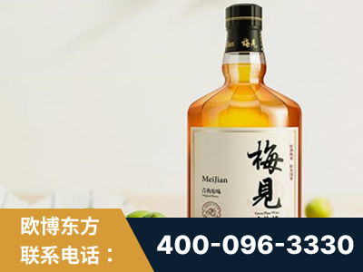 宝鸡-梅见青梅酒